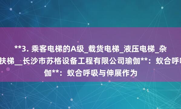 **3. 乘客电梯的A级_载货电梯_液压电梯_杂物电梯_自动扶梯__长沙市苏格设备工程有限公司瑜伽**:蚁合呼吸与伸展作为